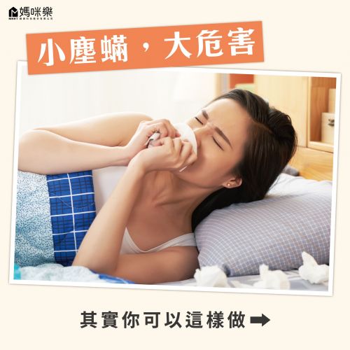 小塵螨，大危害，其實你可以這樣做