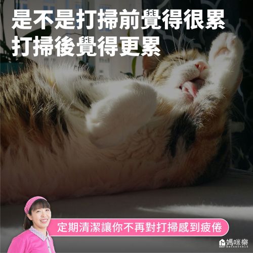 我們懂你！生活有時候就是一場混亂的冒險