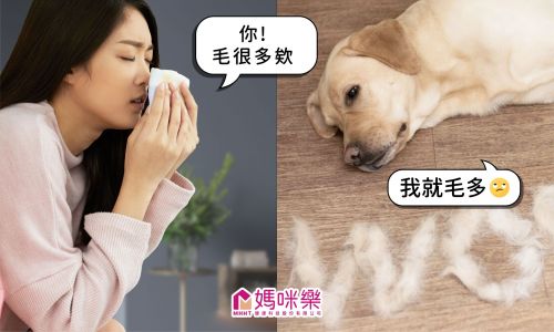 家中有養毛孩的大家，是不是常常覺得「吼～你毛好多欸！」